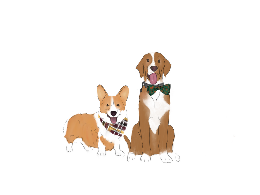 Custom Pet Portrait | Digital Watercolour