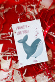 💕 Pack of 30 School Valentines - Seaside Collection (no envelopes)