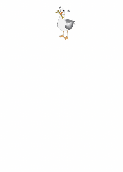 Seagull Notepad | 4.5