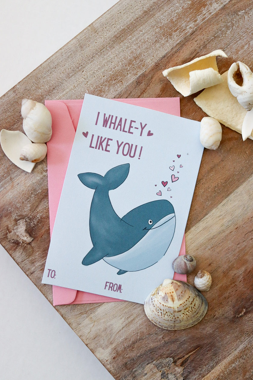 💕 Pack of 20 School Valentines - Seaside Collection (with envelopes)